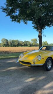YELLOW JET FOR THE ROAD. Please enjoy and admire some impressions of a Ferrari 275 GTB/4. This model is one of the most desirable and valued classic sports cars from Modena. Its V12 front engine came up with two camshafts per cylinder bank (the 4 in the designation), dry sump lubrication and six Weber twin carburettors for a power output of 300 hp. The design inspires now and then with a long bonnet and a fastback rear. Built between 1966 and 1968 in just 330 units this sophisticated Gran Turismo was a "Lear Jet" on wheels for true Gentleman Drivers: powerful and fast but comfortable enough for a quick trip from Rome to Portofino or from St. Moritz to Monte Carlo. 
#ferrari #ferrari275gtb #ferrari275gtb4 #classicferrari #vintageferrari #classicdriver #classiccars #classiccartrader #drivetastefully #carpassion